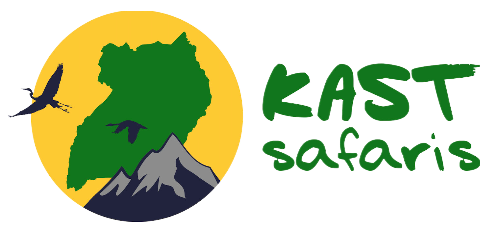 Kast Safaris